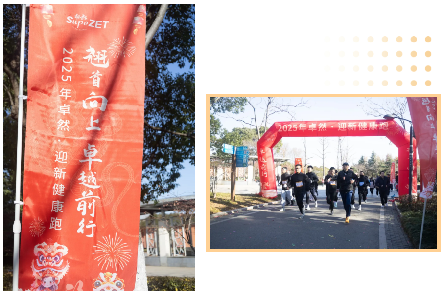 回望2024 启航2025 | 龙八国际股份2025年度战略年会顺利召开